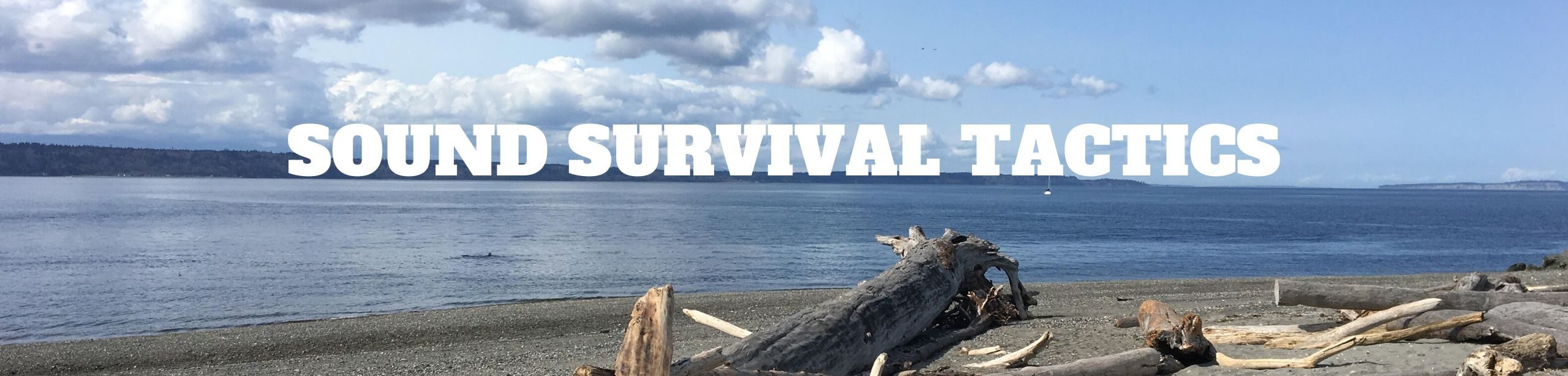 Sound Survival Tactics