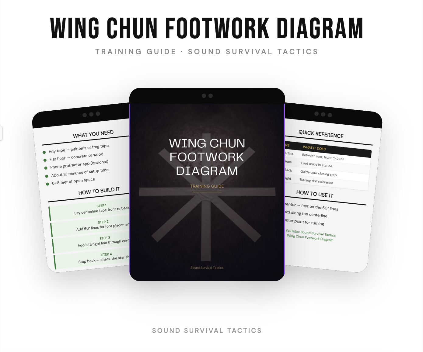 wing chun diagram cover image